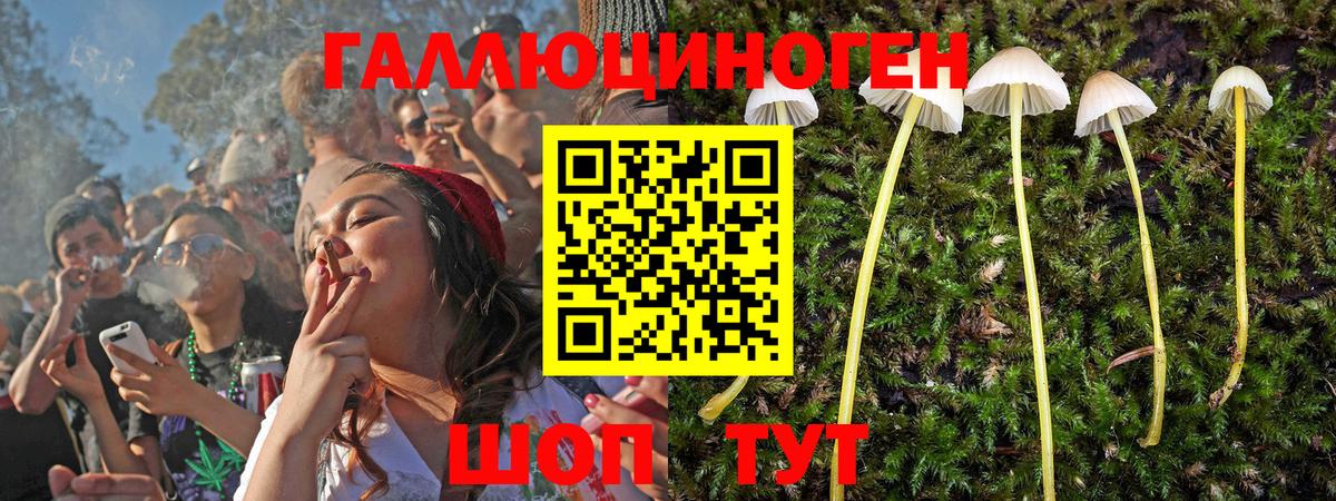 Псилоцибиновые грибы мухоморы  Псилоцибиновые грибы мицелий  Вход с VPN  Красноуфимск 